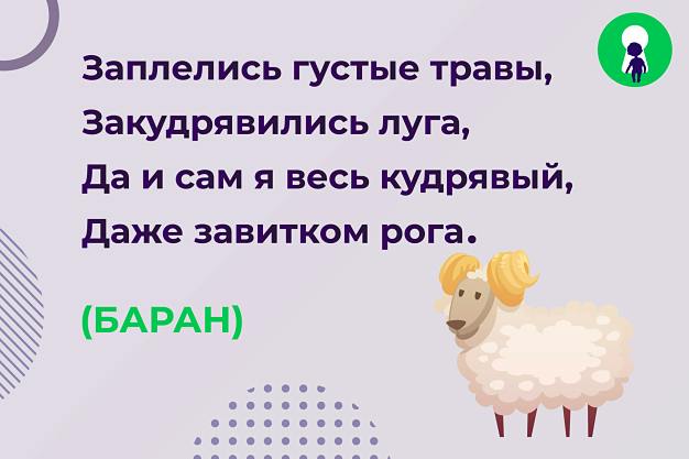 стихи про барана