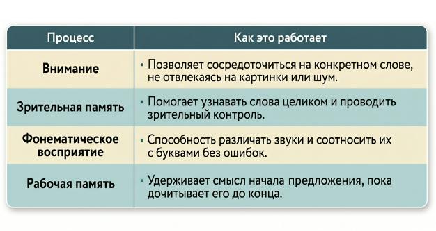 Сходство процессов письма и чтения